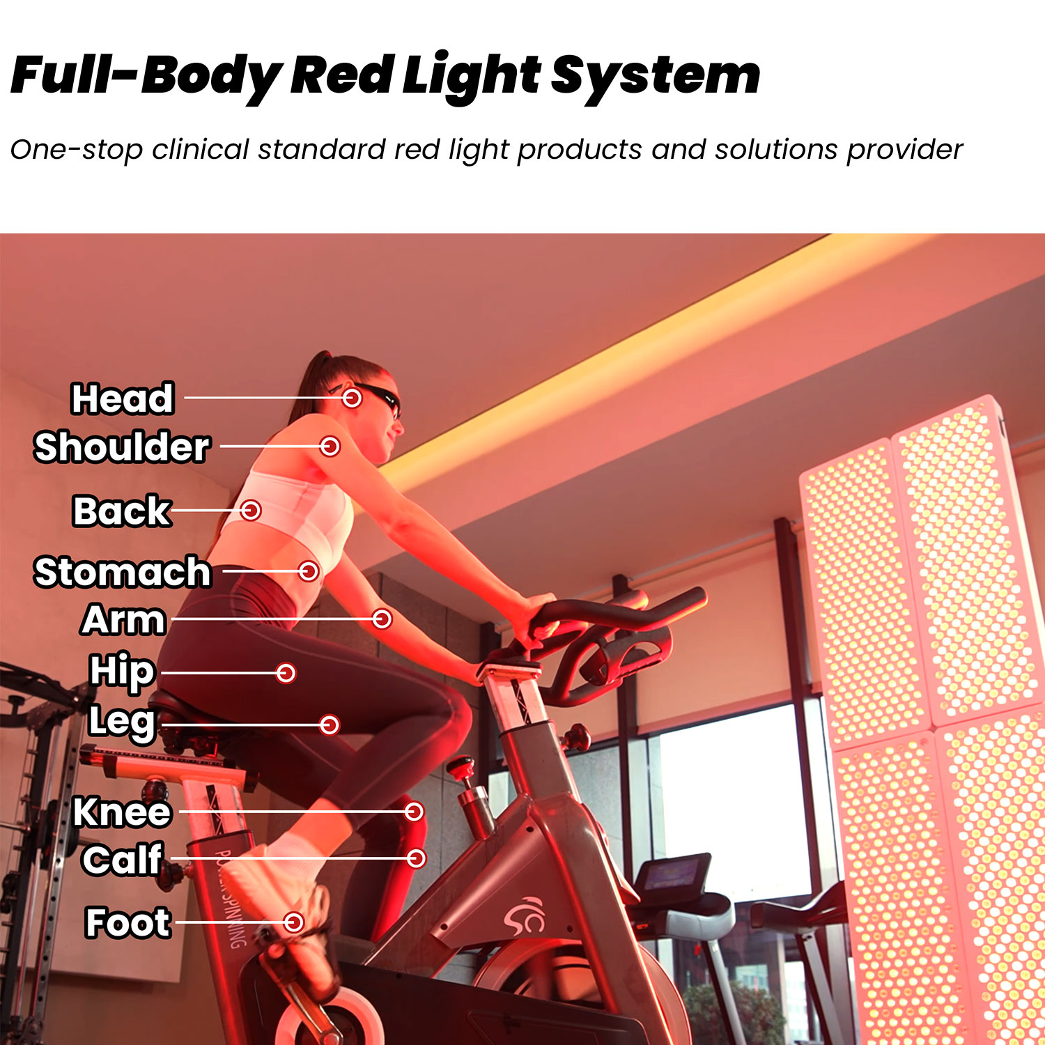 2026 IDEATHERAPY RL300MAX-CH F - đánh giá và giá Red Light Therapy Device