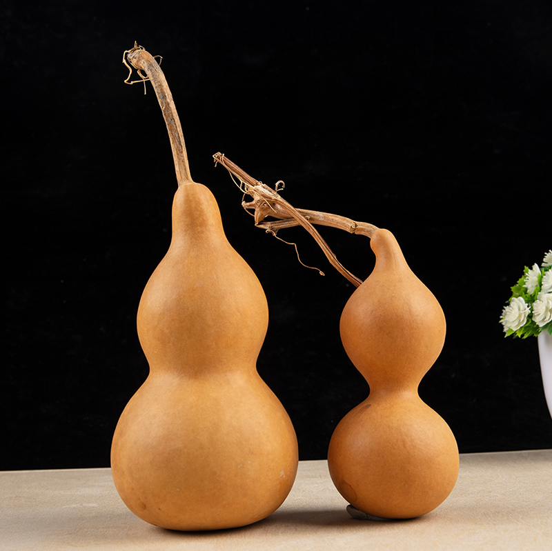 1pc Natural Gourd Handicraft O - đánh giá và giá Longevity Health & Wellness Hotel