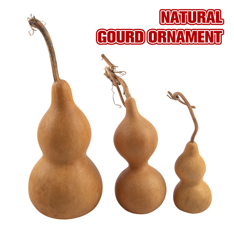 1pc Natural Gourd Handicraft O - đánh giá và giá Longevity Health & Wellness Hotel