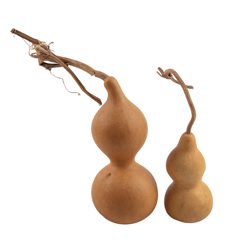 1pc Natural Gourd Handicraft O - đánh giá và giá Longevity Health & Wellness Hotel