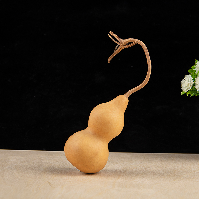 1pc Natural Gourd Handicraft O - đánh giá và giá Longevity Health & Wellness Hotel