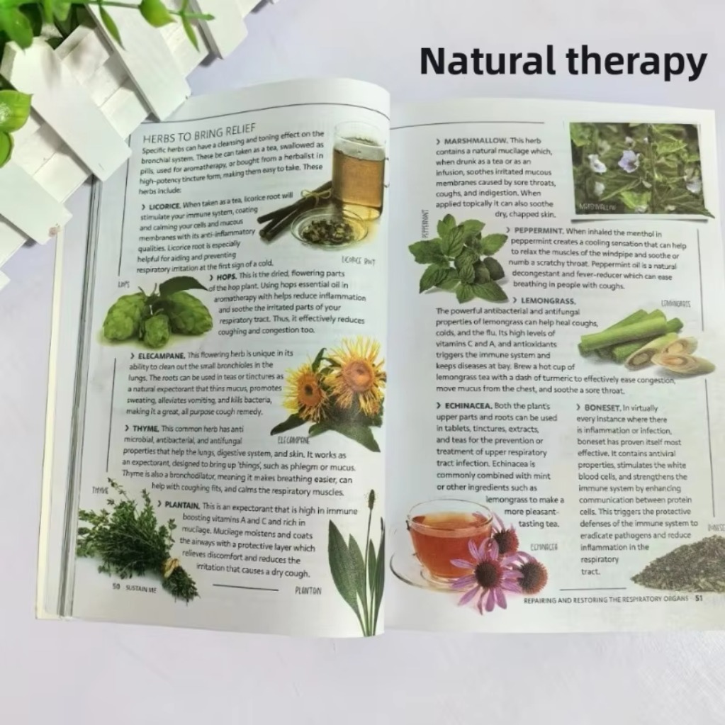 Sustain Me Barbara O'Neill A H - đánh giá và giá Health Wellness Lifestyle