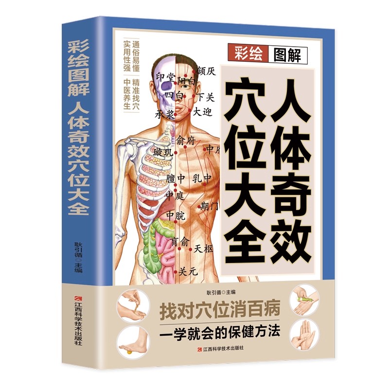 Complete Guide to Acupoint Mas - đánh giá và giá Health & Wellness Website