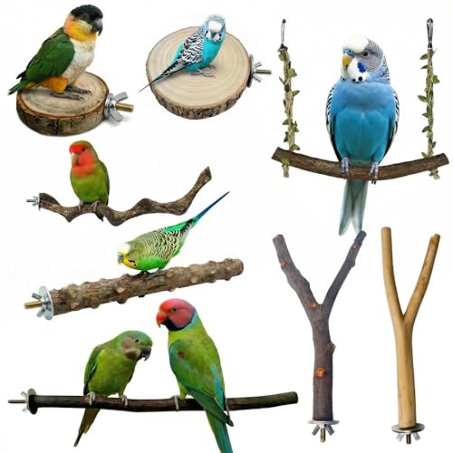 8PCS natural wood bird perches - đánh giá và giá Health & Wellness Website