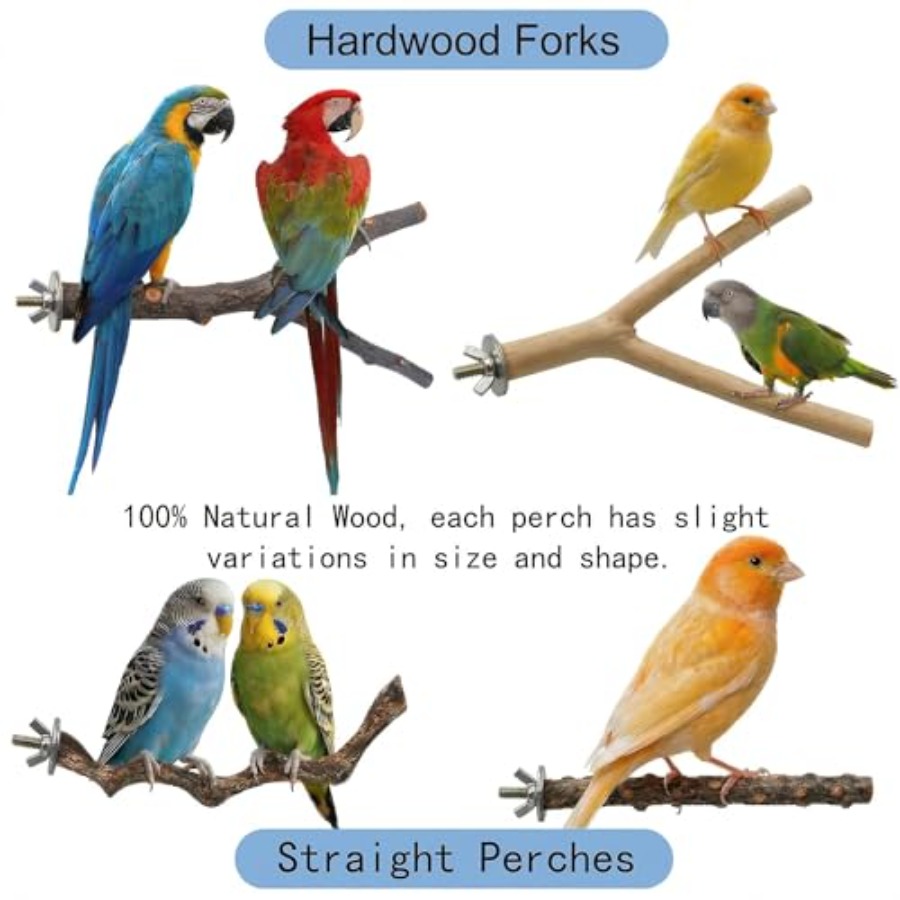8PCS natural wood bird perches - đánh giá và giá Health & Wellness Website