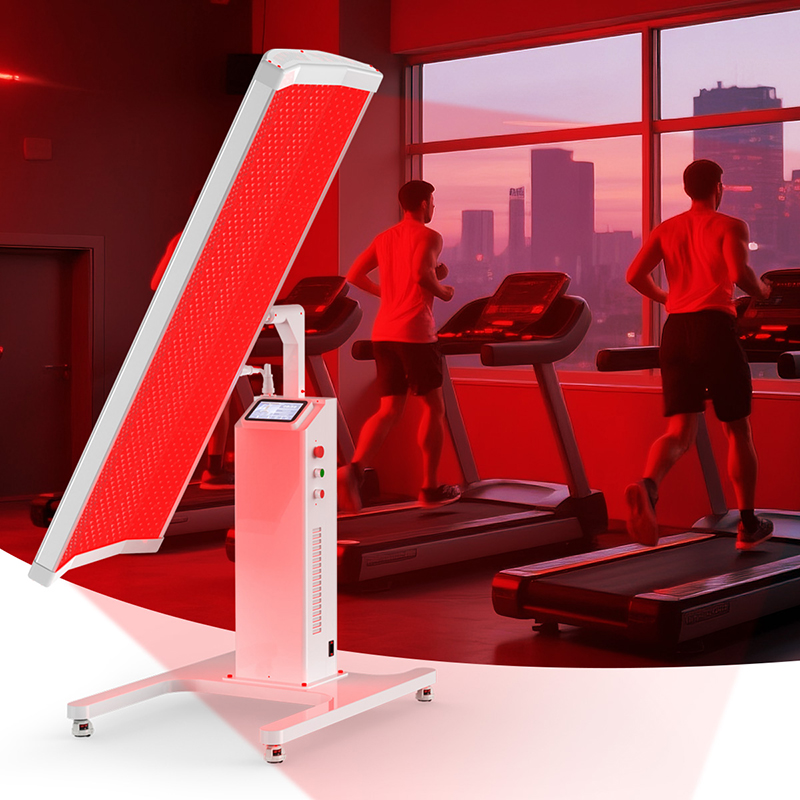 Suyzeko OEM Longevity Health C - đánh giá và giá Longevity Health & Wellness Hotel